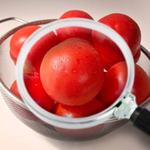 Basic Food Safety Course